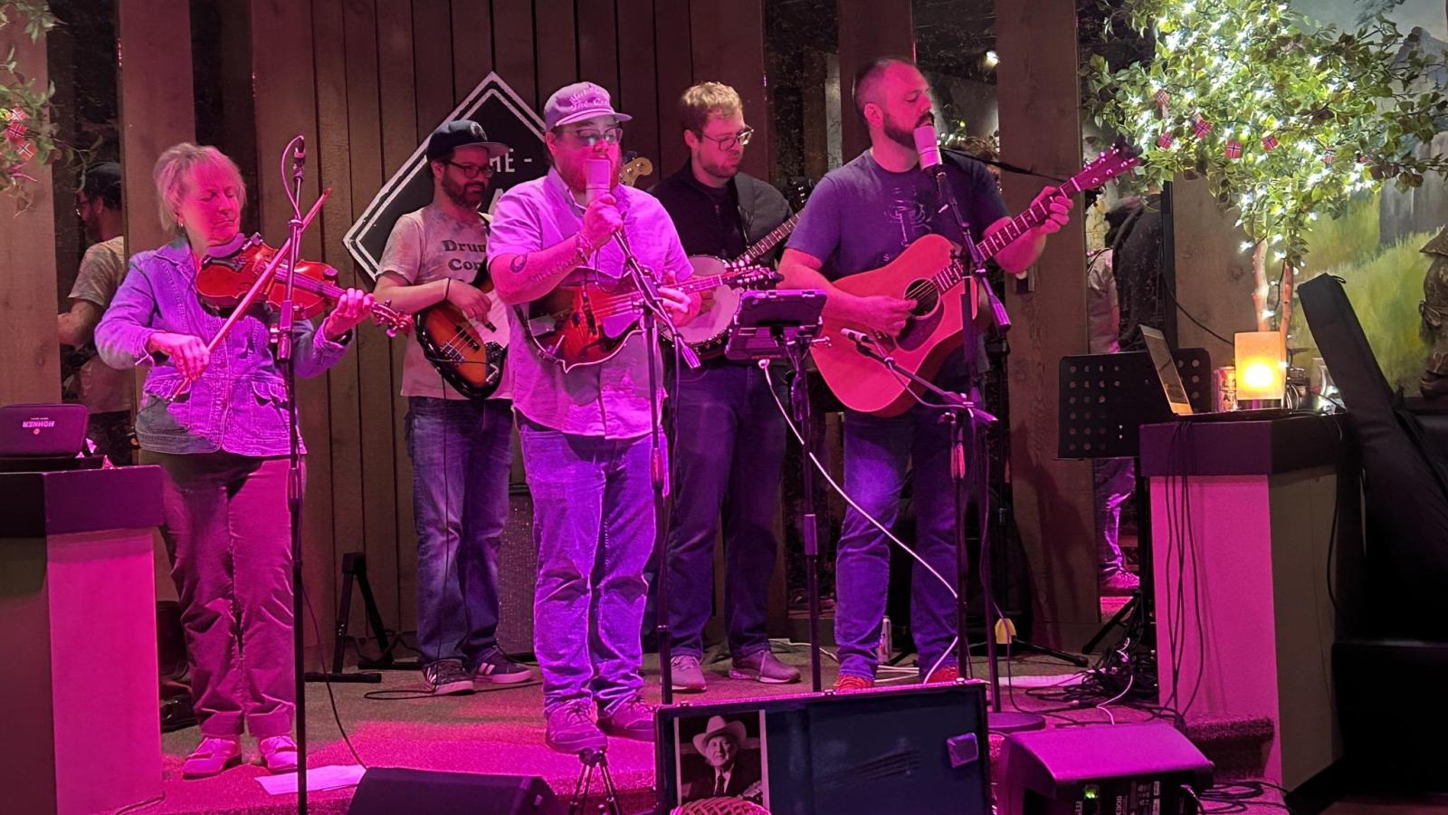 stringbean Justice for Stringbean band on stage